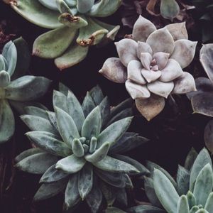 Meet your Posher, Braeden